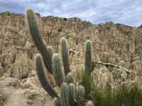 해외여행 볼리비아 라파즈의 신기한 달의 계곡 Valle de la Luna