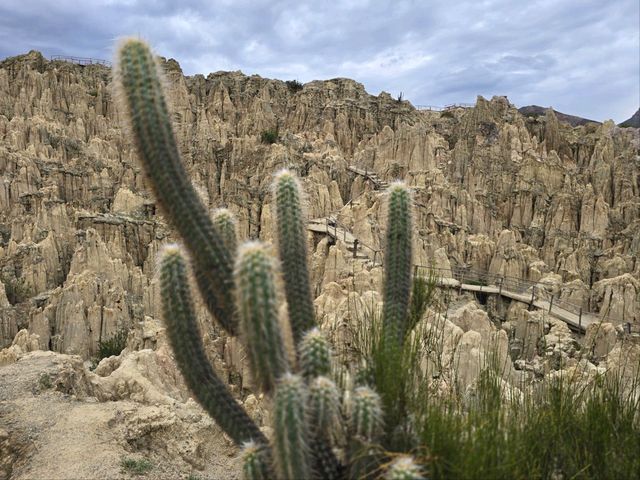 해외여행 볼리비아 라파즈의 신기한 달의 계곡 Valle de la Luna