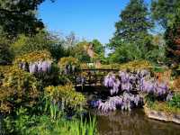 London’s Regent’s Park: Nature and City in Harmony