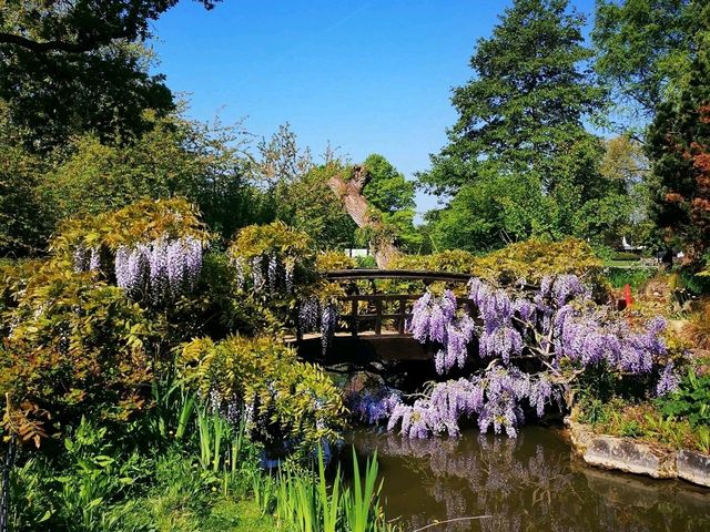 London’s Regent’s Park: Nature and City in Harmony