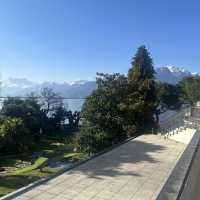 Incredible view and Swiss alpines