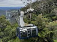 Blue Mountains 🏔️ Sydney 