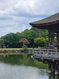 🦌 Nara Day Trip: What to See and How to Get There from Kyoto/Osaka