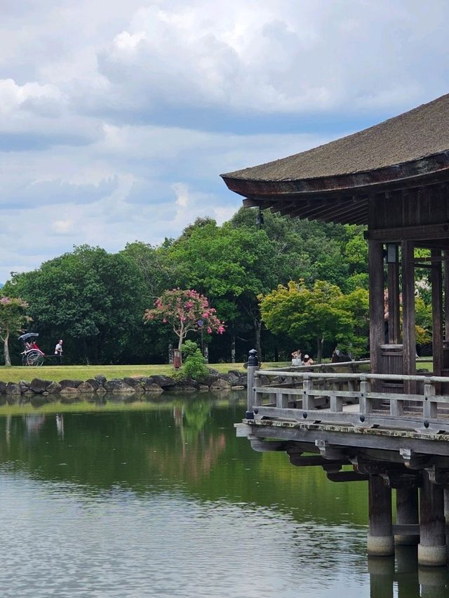 🦌 Nara Day Trip: What to See and How to Get There from Kyoto/Osaka
