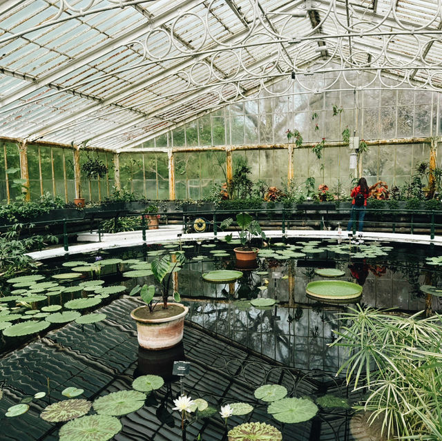 Escape the City: Kew Gardens – London’s Secret World of Green