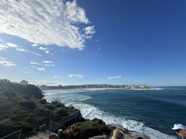 Coogee to Bondi sea walk and Accor stadium