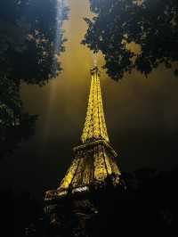 PARIS DAY