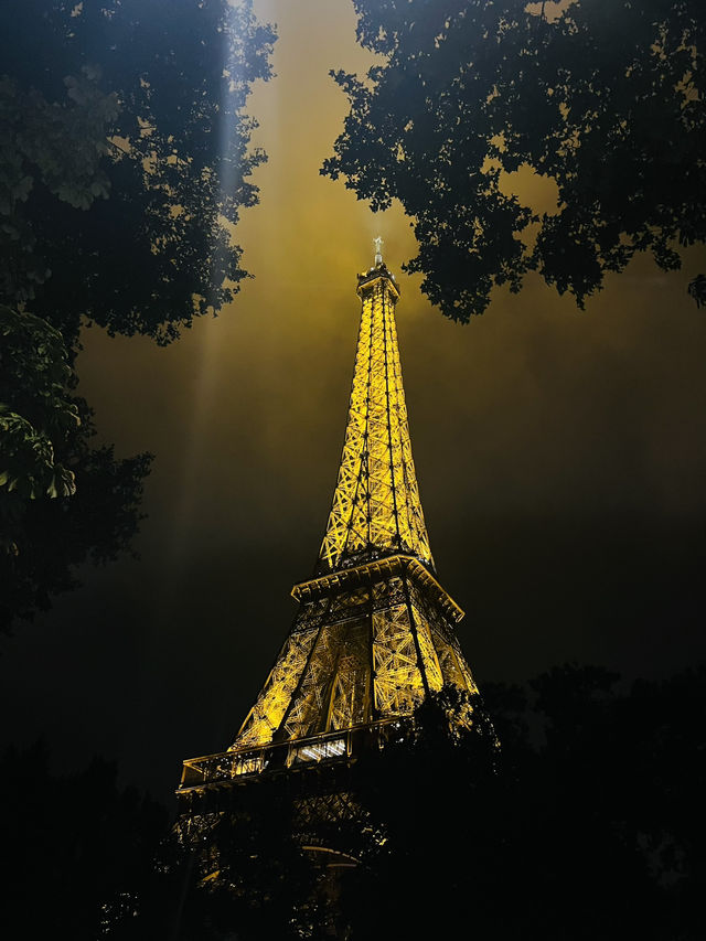 PARIS DAY
