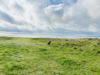 Hengisbury Head Dorset