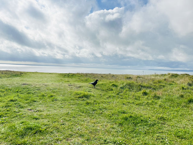 Hengisbury Head Dorset