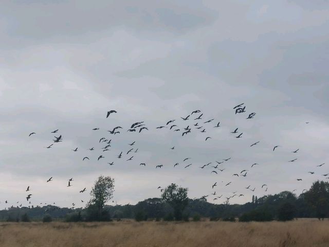 Train to Reading, Thames Path Day 9 Train to Reading, Thames Path Day 9