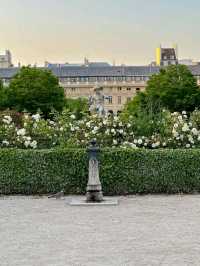 Spooky Striped Shadows: Halloween Tips & Tricks at Palais Royal, Paris 👻