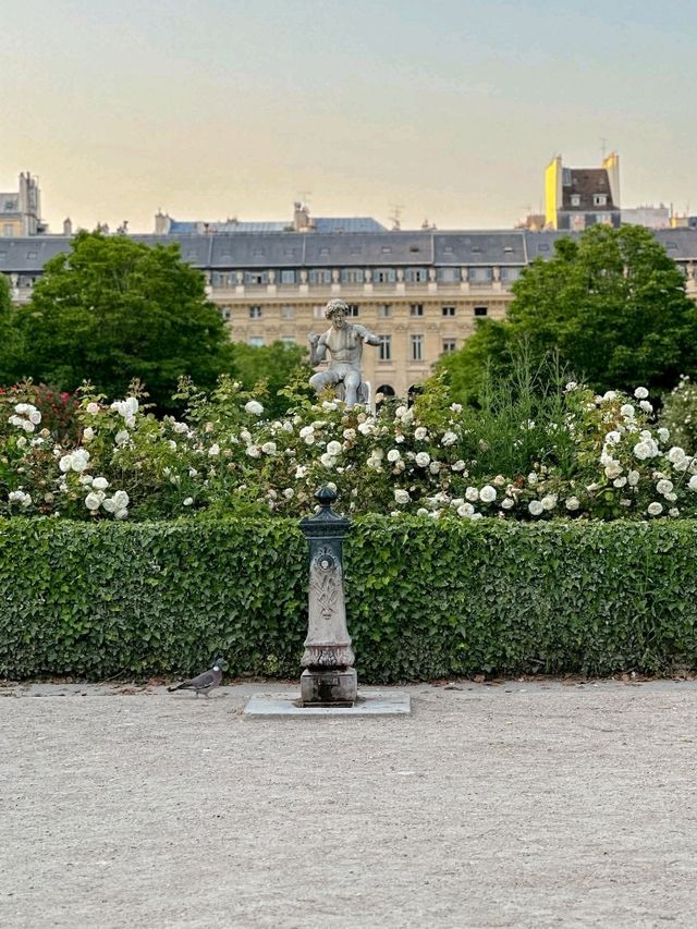 Spooky Striped Shadows: Halloween Tips & Tricks at Palais Royal, Paris 👻 Spooky Striped Shadows: Halloween Tips & Tricks at Palais Royal, Paris 👻