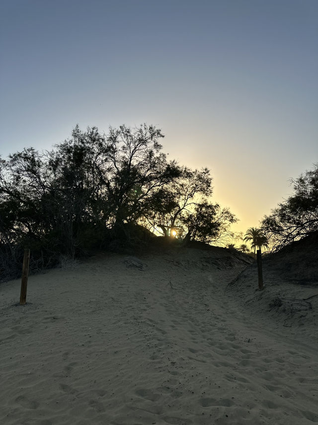 The Dunes of Maspalomas, Gran Canaria 🏜️