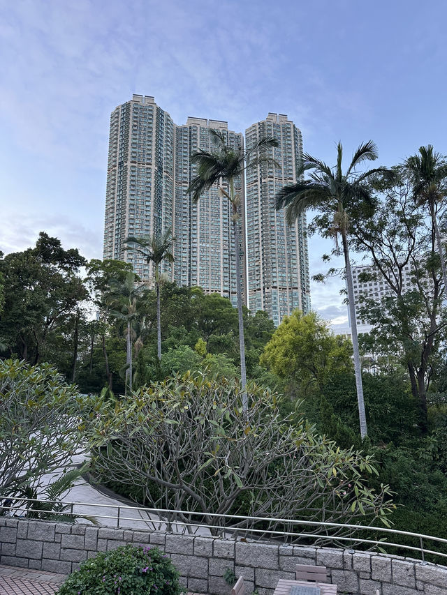 Гонконг. Вот что стоит увидеть. Гонконг. Вот что стоит увидеть.