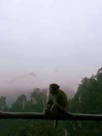 I Walked in the World of AVATAR & Found Heaven's Gate