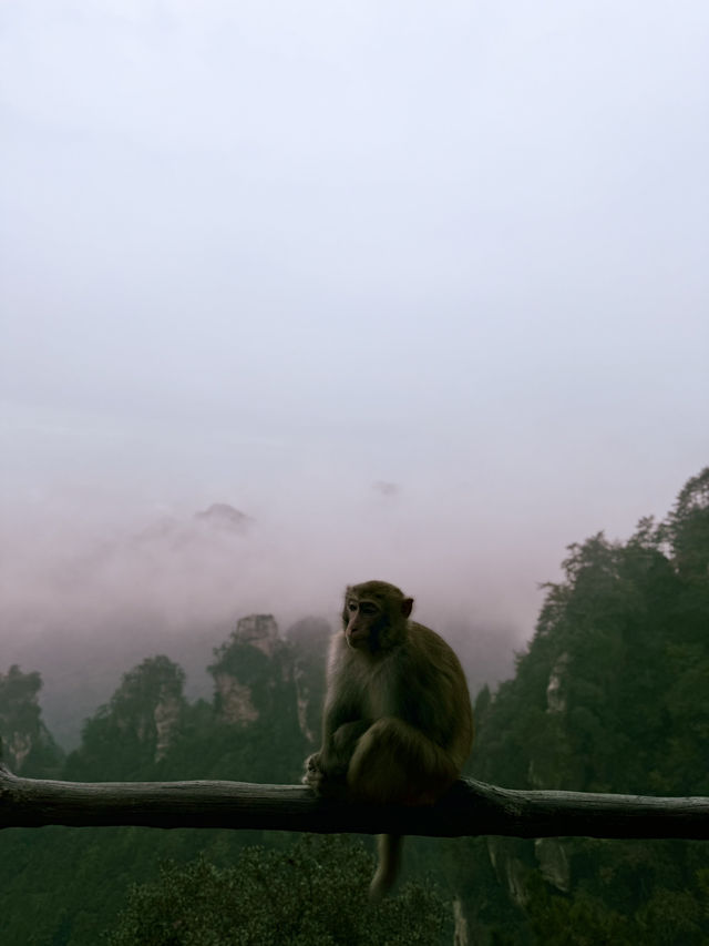 I Walked in the World of AVATAR & Found Heaven's Gate