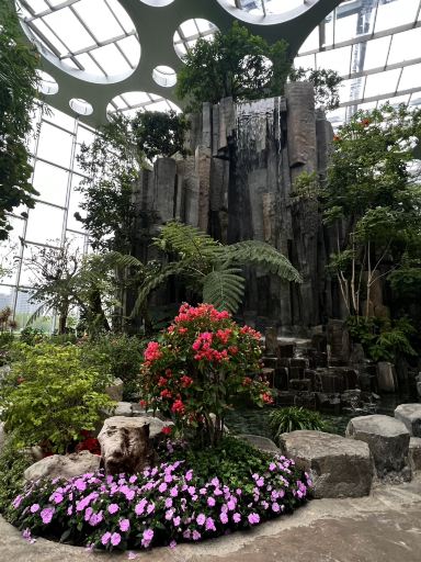 Shanghai Greenhouse Garden 🌿 A Hidden Oasis Inside Expo Culture