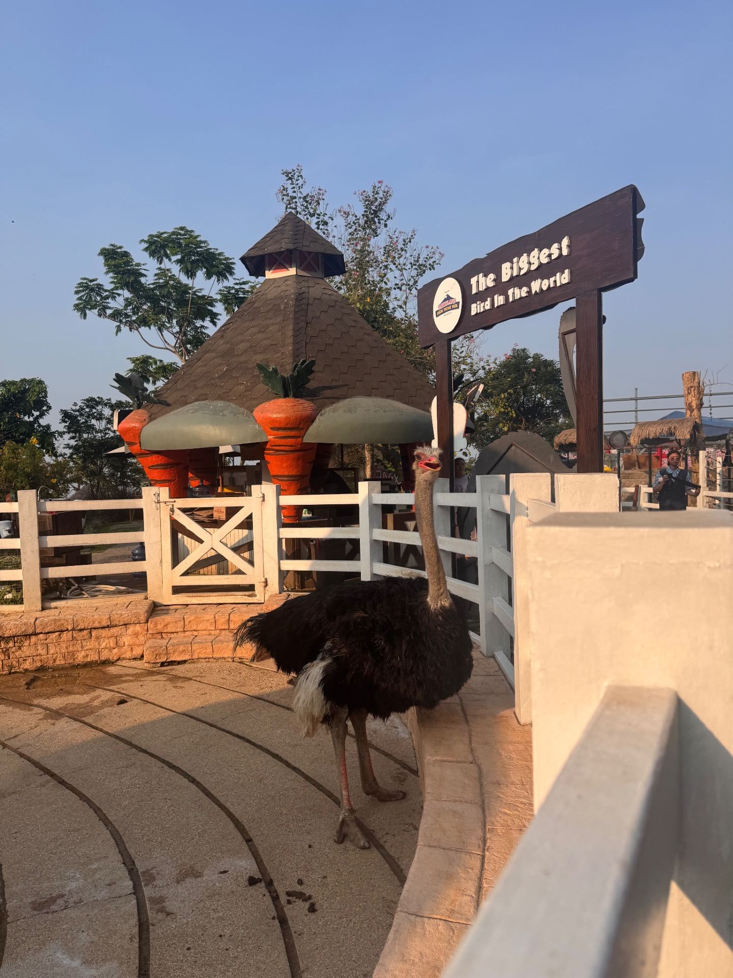 Fun-Filled Day Out at Cimory Dairyland Farm Theme Park Prigen: A Must-Visit for Families!