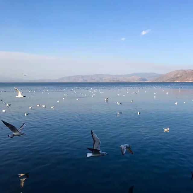 遊覽雲南大理洱海