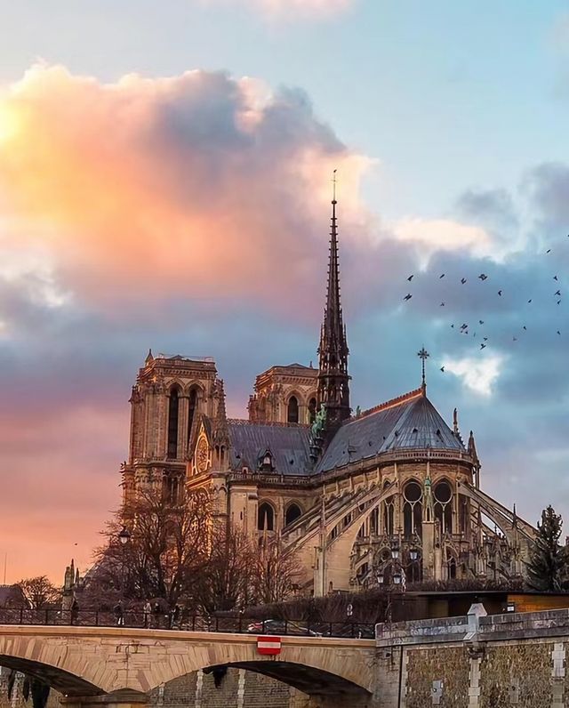 Paris Notre-Dame Cathedral | The Fated Disappearance