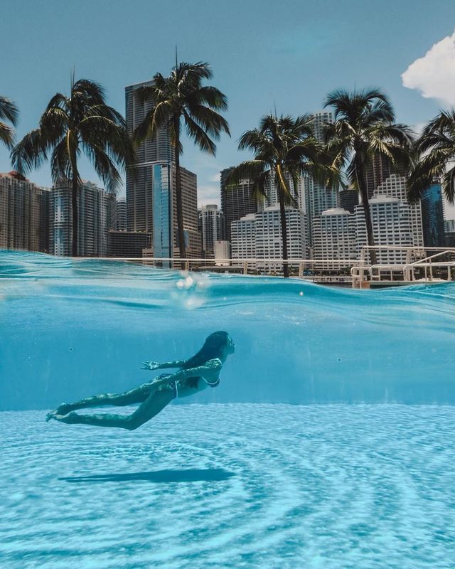 Escape to Miami's Tranquil Paradise at @mo_miami
