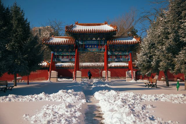 一下雪，哈爾賓文廟就變成了故宮