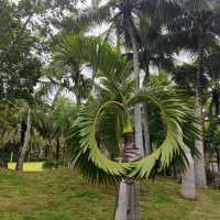 'Fall'ing In Love With an Island | Sanya