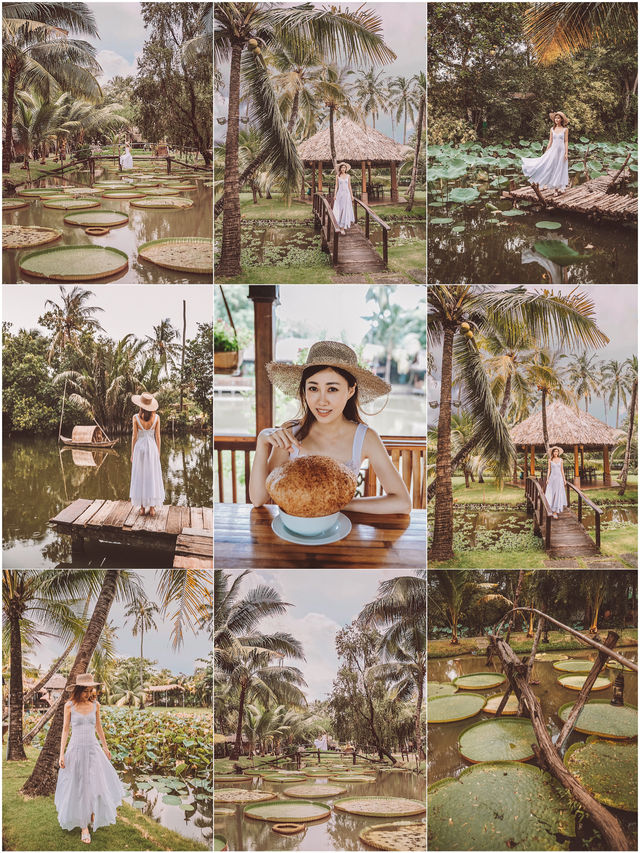 Vietnam travel guide🔥