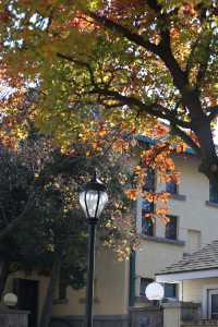 青島八大關異國建築群在色彩斑斕的閃爍下更加奪目迷人