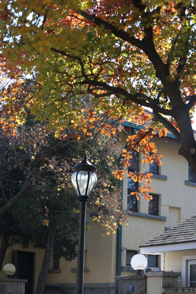 青島八大關異國建築群在色彩斑斕的閃爍下更加奪目迷人 青島八大關異國建築群在色彩斑斕的閃爍下更加奪目迷人