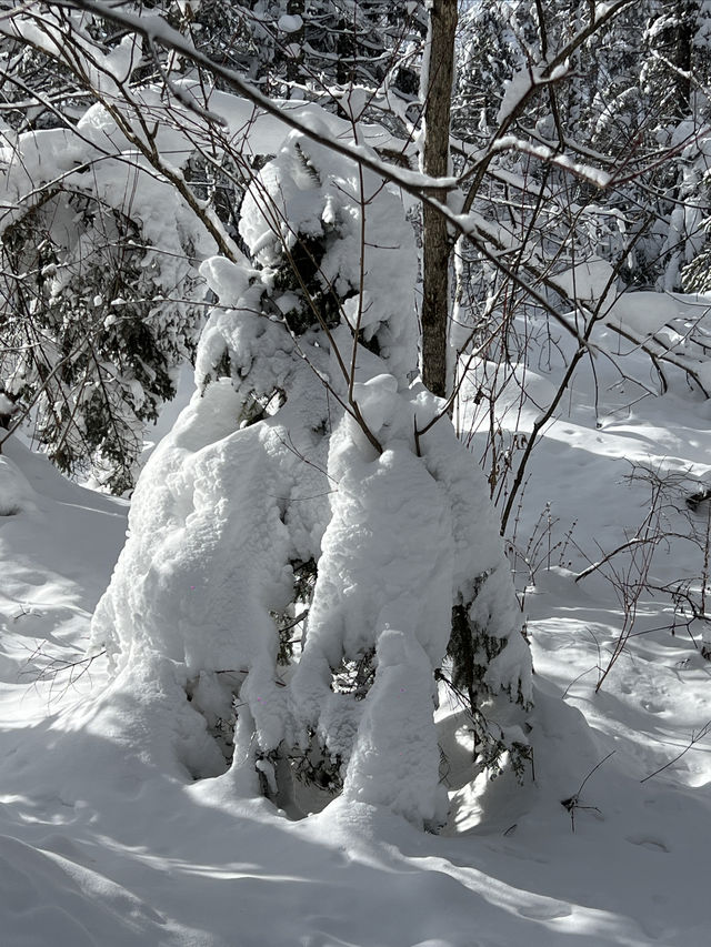 長白山西坡錦江峽谷