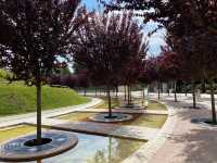 Best City Park in Eurasia