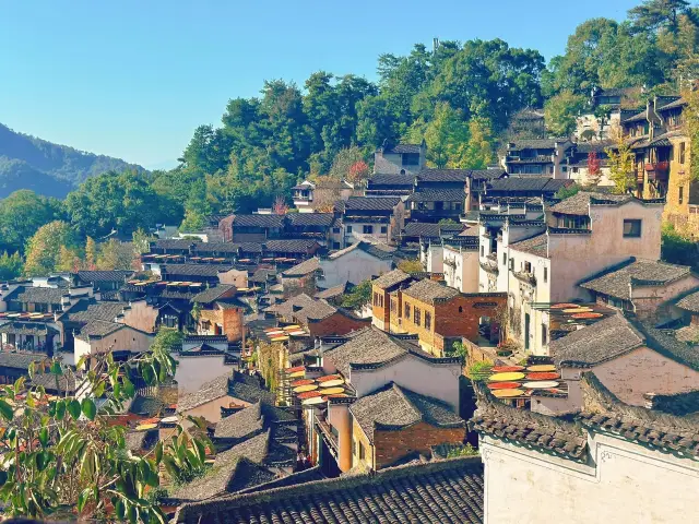 You should visit Wuyuan at least once, it's a place worth your time to appreciate