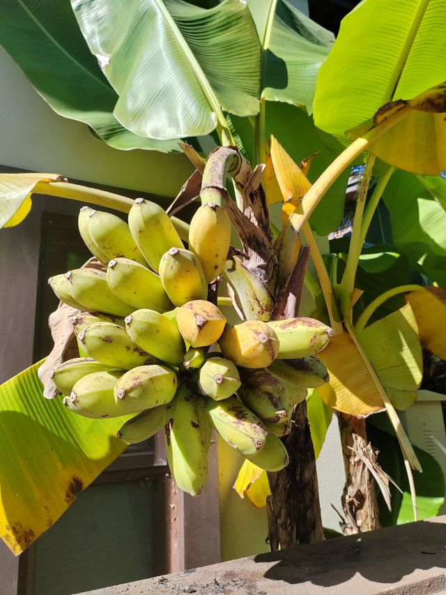 過冬好出處