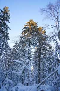 雪國美景，老裡克湖