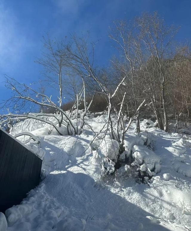 阿那亞霧靈山·北京周邊2h的治癒地！