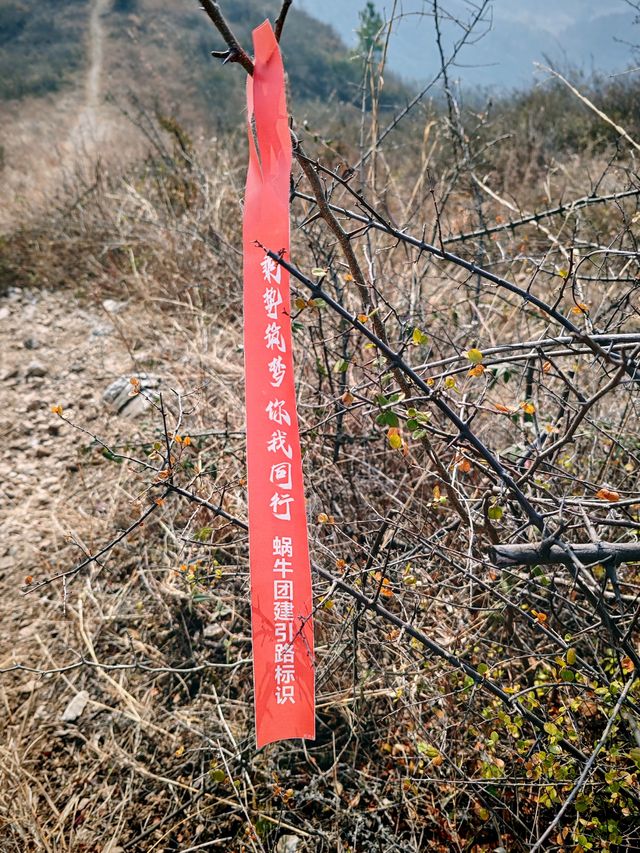 合肥十峰打卡攻略：與好友共赴山野之約，感受野趣橫生的徒步之旅