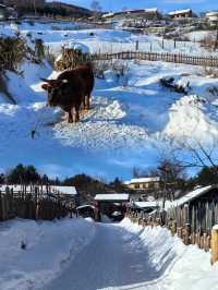 這裡被遊客譽為"關東雪村﹣﹣水墨松嶺"，