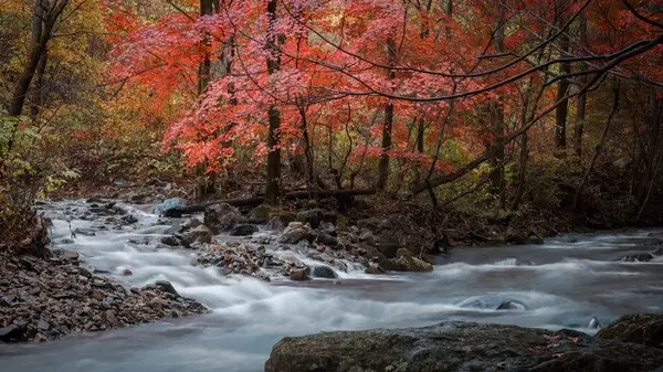 เขตท่องเที่ยวเก่าของ Benxi