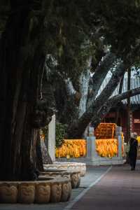 中秋京西千年古寺尋幽之旅