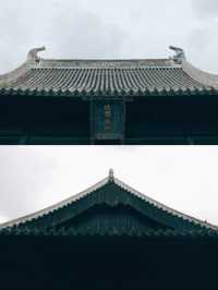 發現上海|真如寺真的好,就是鴿子shi太多咯
