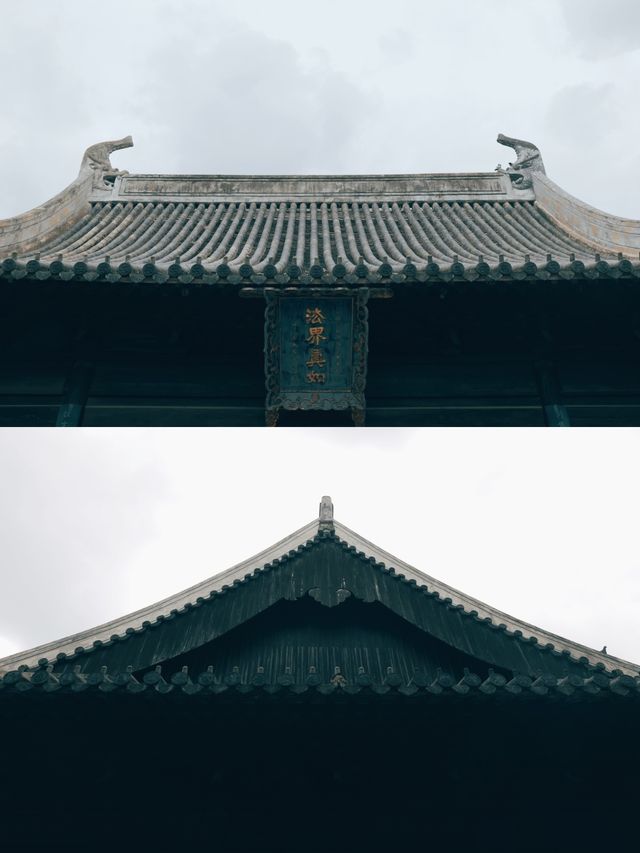 發現上海|真如寺真的好,就是鴿子shi太多咯 發現上海|真如寺真的好,就是鴿子shi太多咯