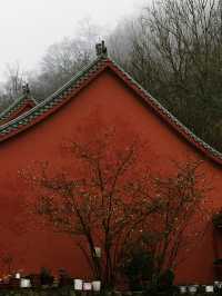 信陽周末去哪玩｜羅山靈山寺攻略來囉