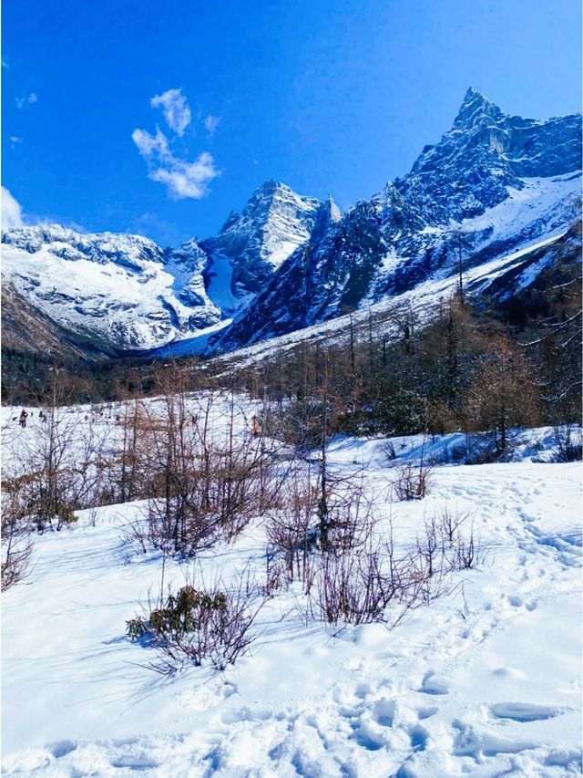 服了畢棚溝這麼美，為什麼都擠四姑娘山