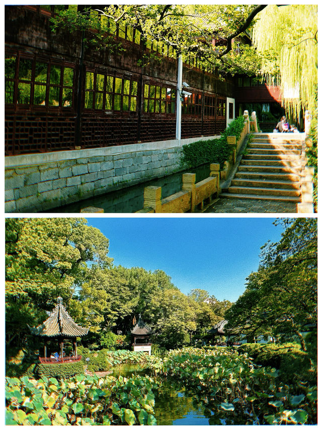 前往「曲水園」必知的18件事｜上海五大古典園林之一