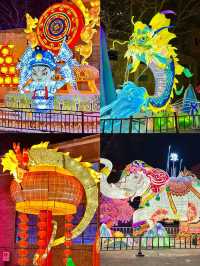 這真的在鄭州沉浸式夜遊彩燈主題樂園