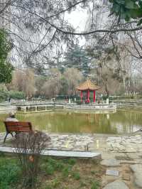 大象滑梯,並不是只在興慶公園有