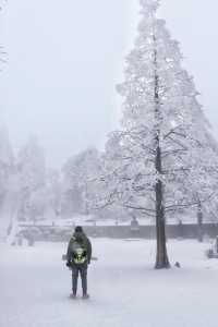 下雪的庐山宛如童話小鎮，超美！