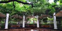 淮海公園：由外國人公墓改建而來的公園